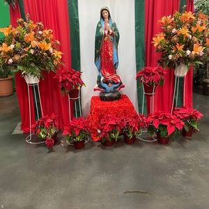 Meet your Posher, Magali